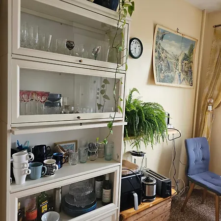 Quiet Near Everything In A Shared Huoneisto *